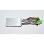 BEYİN (MT-8)