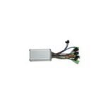 BEYİN (ZF6)